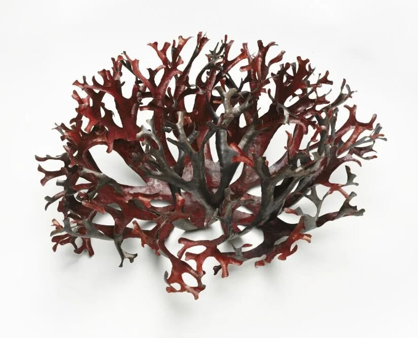Aron Irving Lie
